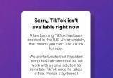 Соцсеть TikTok заблокировали в США