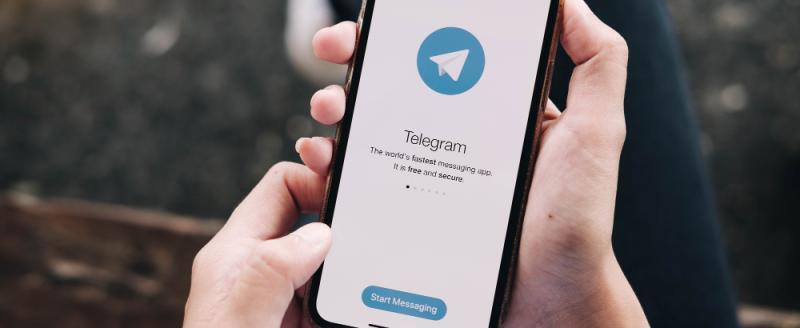 Мошенничество в Telegram: как не попасться на уловку