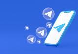 Новое обновление Telegram: сообщения каналам, HD-фото и обрезка голосовых