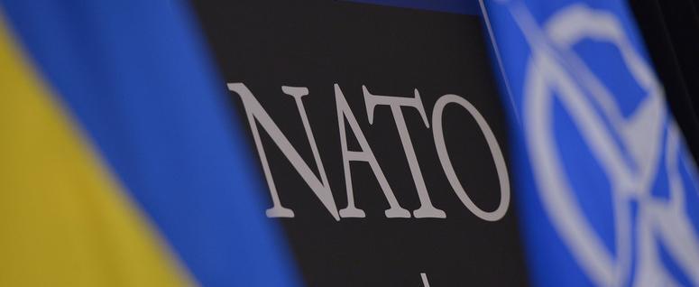 Членство Украины в НАТО исключили из текста финальной декларации саммита