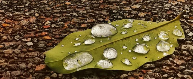 Инженеры MIT создали устройство, добывающее воду из воздуха