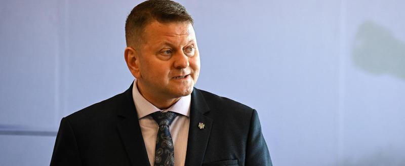 В Альпах обсуждалась замена Зеленского
