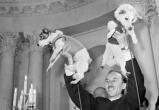 65 лет полёту Белки и Стрелки: как дворняжки стали первыми «космонавтами»