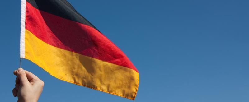 В Германии перед выборами умерли шесть кандидатов от АдГ