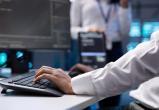 Программисты с опытом теряют работу? Как перестраивается IT Беларуси