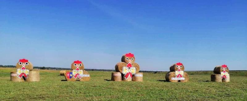 Скульптуры из сена: креатив по-белорусски и по-западному