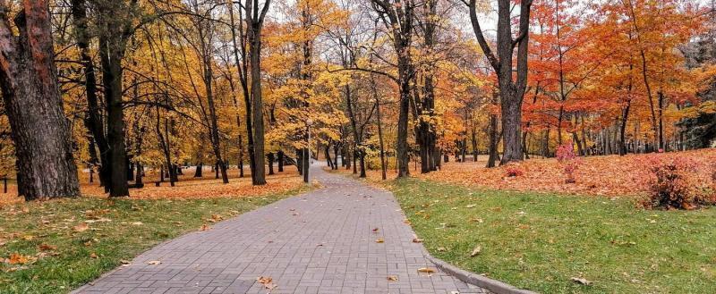 С 1 ноября в Беларуси ожидаются изменения 