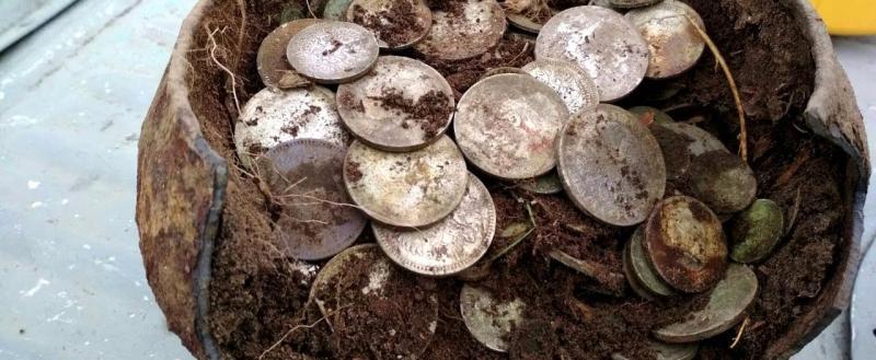 Житель Швеции нашел клад недалеко от своего дома