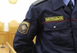 В Беларуси раскрыта большая кража