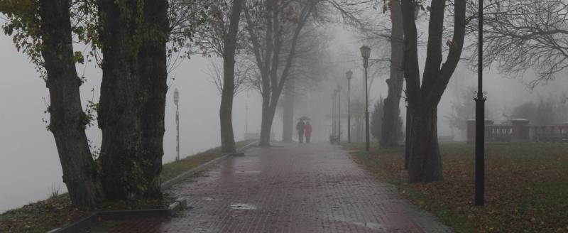 Что обещает Дмитрий Рябов на ноябрь