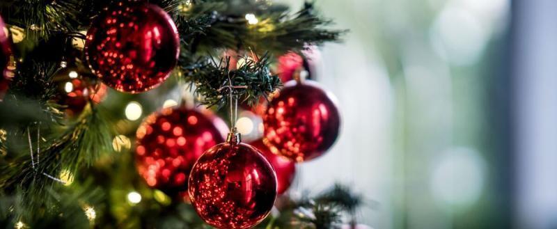 В Бресте начинают монтировать главную елку