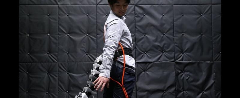 Скоро появятся грузчики с хвостом