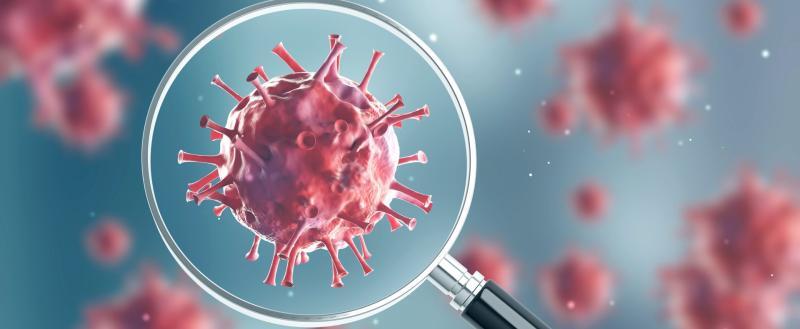 Российские вирусологи нашли свыше 60 новых вирусов