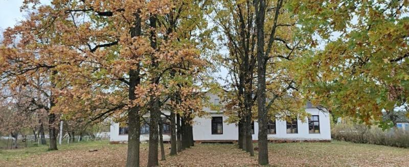 Где в Брестской области можно купить турбазу по цене дачи