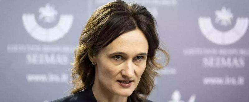 В Литве ситуацию на границе с Беларусью назвали «поражением»