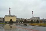 Литва официально сообщила Беларуси подробности инцидента на Игналинской АЭС