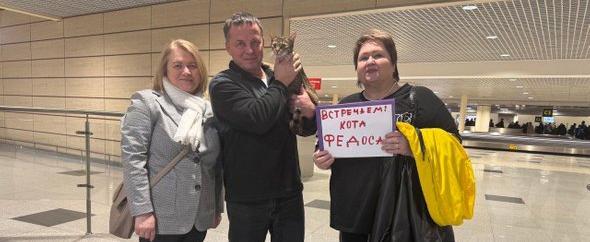 Из-под Казани в якутскую тайгу: история кота, который проехал полстраны, прячась в вагоне