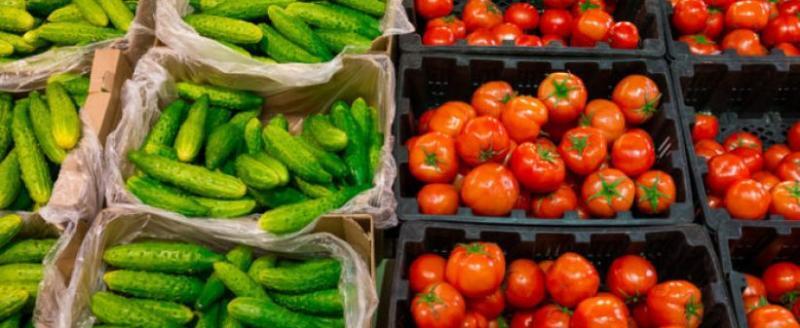 В Беларуси вводят строгий контроль за ценами на огурцы и помидоры