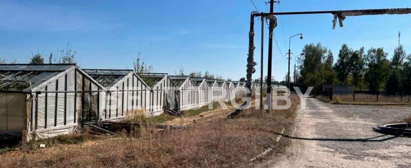 В Бобруйске продают тепличный комбинат за 155 тыс. рублей
