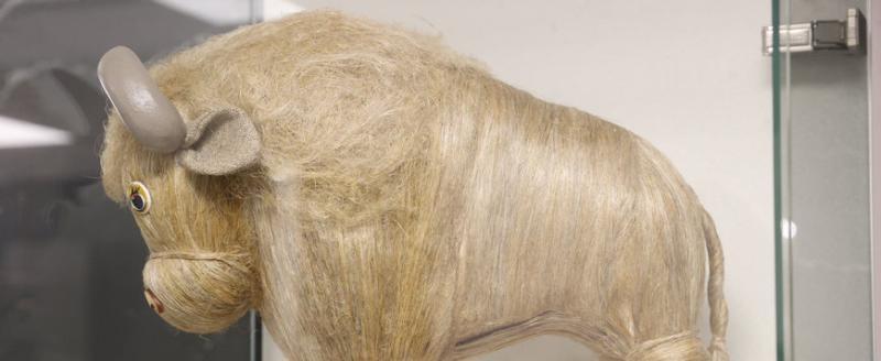 В Брестском облисполкоме открылся единственный в Беларуси музей, посвященный зубрам