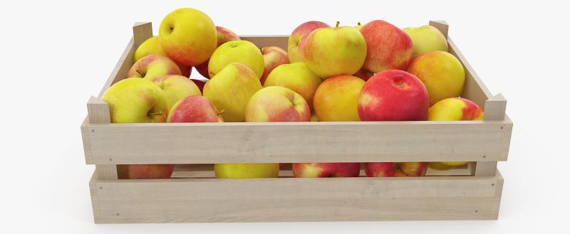 Совмин: Яблоки станут дороже и вот почему