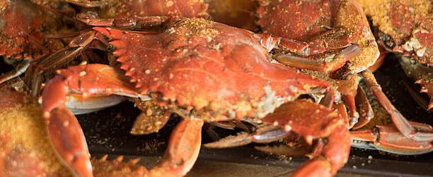 «Крабовый король» Олег Кан приговорен к 24 годам колонии за контрабанду на 2,6 млрд