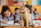 «Нескучные уроки о животных»: белорусских школьников будут учить правильному обращению с животными