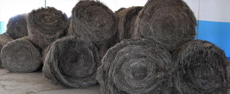 Сотни рулонов льна сгнили на полях в Витебской области из-за бесхозяйственности