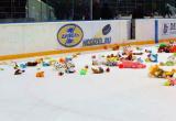 В Гомеле после хоккейного матча пройдет благотворительная акция &laquo;Игрушкопад&raquo; 