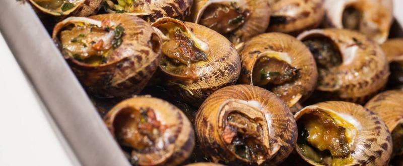 Спасти улиток и фуа-гра от воров перед Рождеством: во Франции жандармерия усиливает охрану