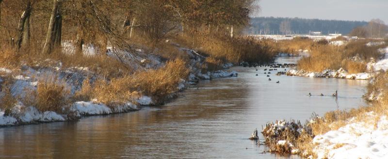На белорусских реках прогнозируется повышение уровня воды