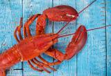 В Великобритании нельзя варить живых омаров
