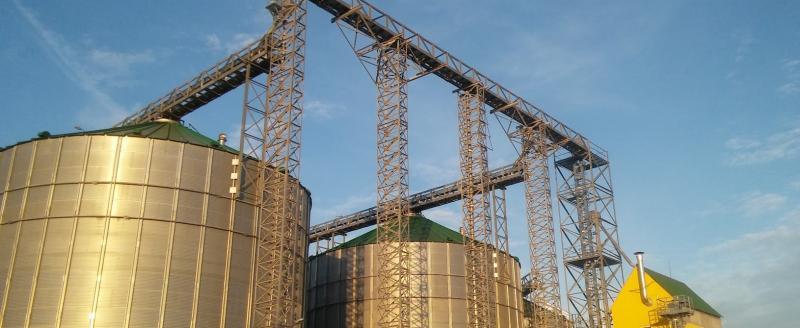 В Беларуси утвердили квоты на производство алкоголя и спиртосодержащей продукции на 2026 год