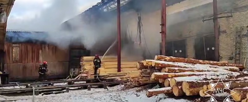 В Гомеле потушили пожар в цехе деревообработки. Обошлось без жертв