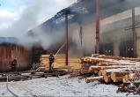 В Гомеле потушили пожар в цехе деревообработки. Обошлось без жертв