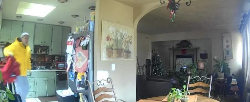 Почти рождественская история: как подросток в стиле «Один дома» спас дом  от грабителя