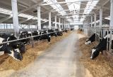 Девять современных молочных ферм открыли в Могилевской области с начала года