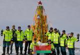 Белорусские полярники передают поздравления с Новым годом с ледового континента