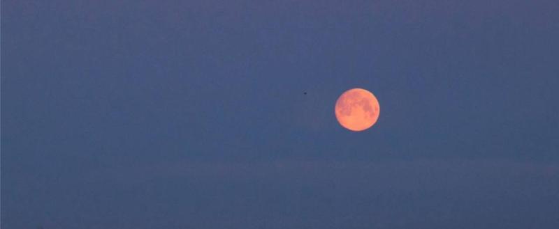 В ночь с 3 на 4 января можно будет увидеть суперлуние «Волчья луна»