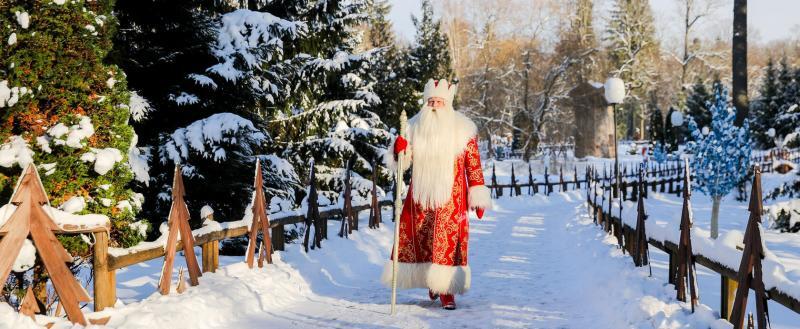 За первые выходные 2026 года Беловежская пуща приняла более 21 тысячи туристов