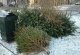 Экологическая акция &laquo;Елки в щепки&raquo; пройдет в Минске 18 и 25 января