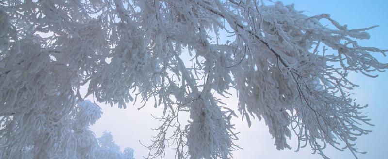 Зима набирает обороты: в Беларусь идут крещенские морозы