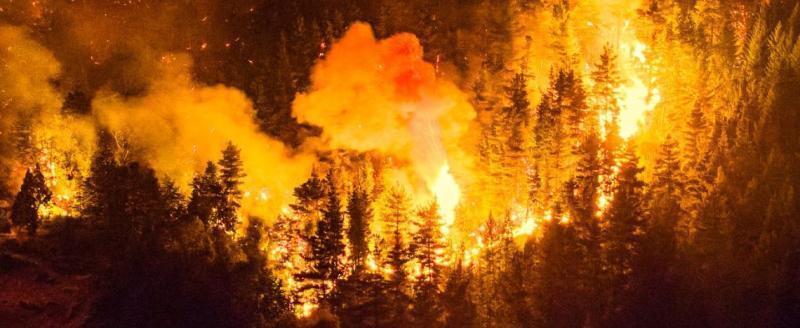 В Патагонии вспыхнул огромный лесной пожар: более 3 тысяч туристов эвакуированы