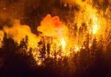 В Патагонии вспыхнул огромный лесной пожар: более 3 тысяч туристов эвакуированы