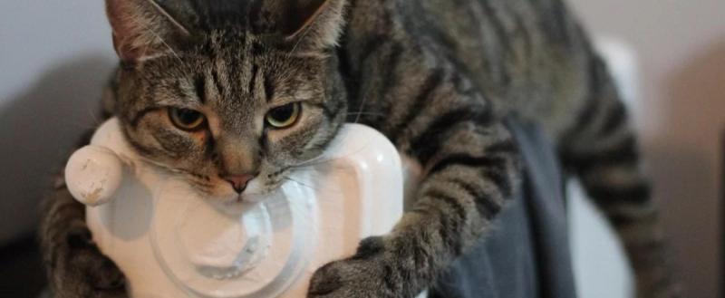 В Беларусь идут морозы: «Минскэнерго» повышает температуру отопления