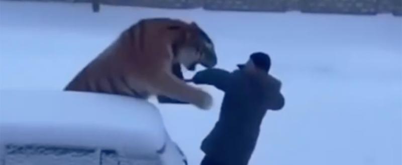 В Беларуси предупредили: за ИИ-фейки грозит штраф или уголовное дело