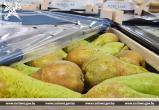 Без сертификатов безопасности: 40 тонн груш и 7,5 тонн корма задержаны на границе