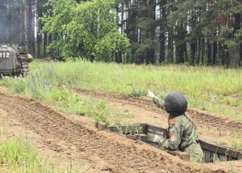 С 25 мая белорусские десятиклассники отправятся на десятидневные военные сборы