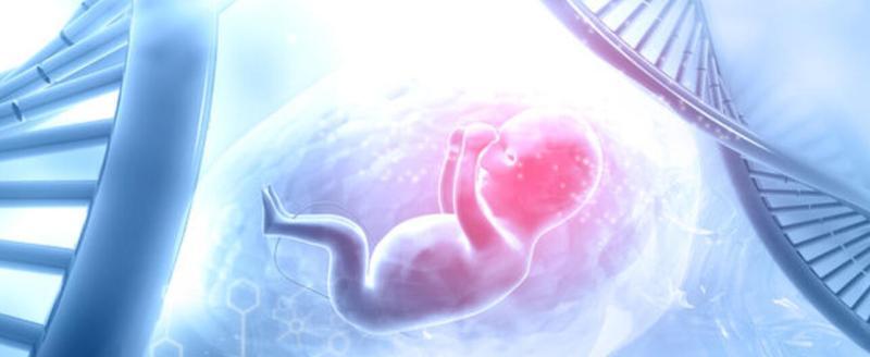 В Японии хотят ввести тюремные сроки за «дизайнерских детей»