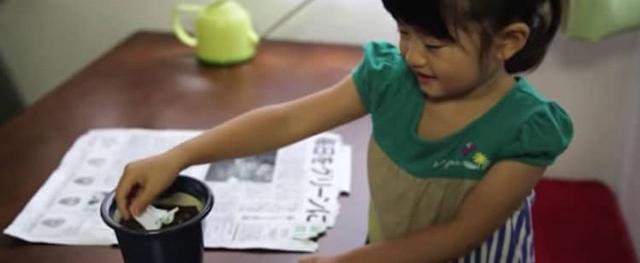 В Японии из прочтенных газет можно выращивать цветы